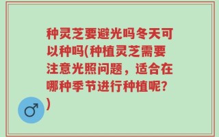 种灵芝要避光吗冬天可以种吗(种植灵芝需要注意光照问题，适合在哪种季节进行种植呢？)