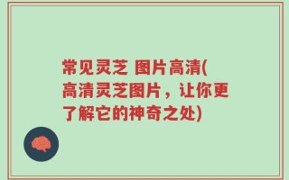 常见灵芝 图片高清(高清灵芝图片，让你更了解它的神奇之处)