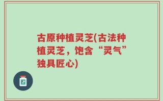 古原种植灵芝(古法种植灵芝，饱含“灵气”独具匠心)
