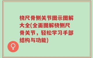 桡尺骨侧关节图示图解大全(全面图解桡侧尺骨关节，轻松学习手部结构与功能)