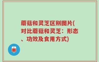 蘑菇和灵芝区别图片(对比蘑菇和灵芝：形态、功效及食用方式)
