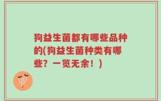 狗益生菌都有哪些品种的(狗益生菌种类有哪些？一览无余！)