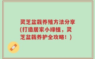 灵芝盆栽养殖方法分享(打造居家小绿植，灵芝盆栽养护全攻略！)