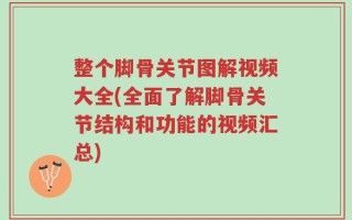 整个脚骨关节图解视频大全(全面了解脚骨关节结构和功能的视频汇总)