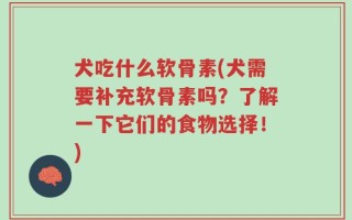 犬吃什么软骨素(犬需要补充软骨素吗？了解一下它们的食物选择！)