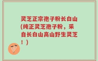 灵芝正宗孢子粉长白山(纯正灵芝孢子粉，采自长白山高山野生灵芝！)