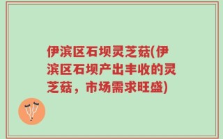伊滨区石坝灵芝菇(伊滨区石坝产出丰收的灵芝菇，市场需求旺盛)