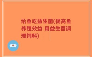 给鱼吃益生菌(提高鱼养殖效益 用益生菌调理饲料)