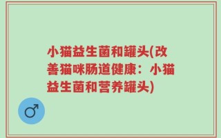 小猫益生菌和罐头(改善猫咪肠道健康：小猫益生菌和营养罐头)