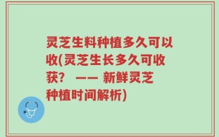 灵芝生料种植多久可以收(灵芝生长多久可收获？ —— 新鲜灵芝种植时间解析)