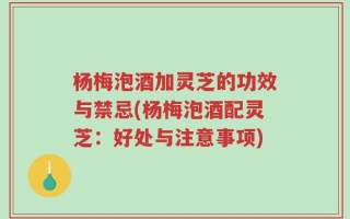 杨梅泡酒加灵芝的功效与禁忌(杨梅泡酒配灵芝：好处与注意事项)