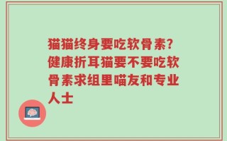 猫猫终身要吃软骨素？健康折耳猫要不要吃软骨素求组里喵友和专业人士