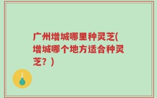 广州增城哪里种灵芝(增城哪个地方适合种灵芝？)