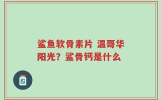 鲨鱼软骨素片 温哥华阳光？鲨骨钙是什么