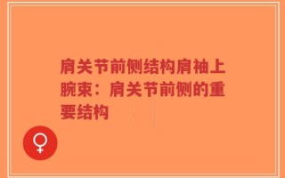 肩关节前侧结构肩袖上腕束：肩关节前侧的重要结构