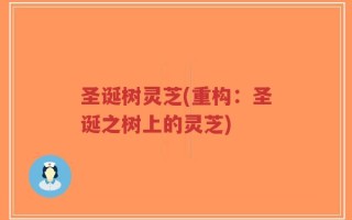 圣诞树灵芝(重构：圣诞之树上的灵芝)