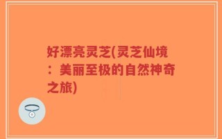 好漂亮灵芝(灵芝仙境：美丽至极的自然神奇之旅)