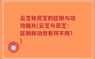 云芝和灵芝的区别与功效图片(云芝与灵芝：区别和功效有何不同？)