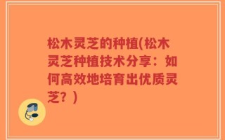 松木灵芝的种植(松木灵芝种植技术分享：如何高效地培育出优质灵芝？)