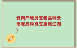 云南产地灵芝老品种云南老品种灵芝重现江湖)
