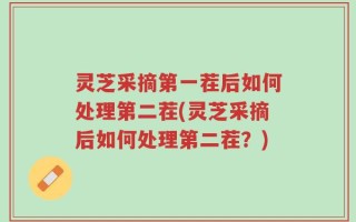 灵芝采摘第一茬后如何处理第二茬(灵芝采摘后如何处理第二茬？)
