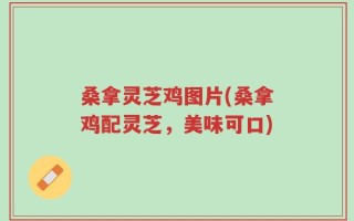 桑拿灵芝鸡图片(桑拿鸡配灵芝，美味可口)