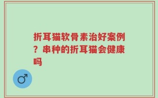 折耳猫软骨素治好案例？串种的折耳猫会健康吗