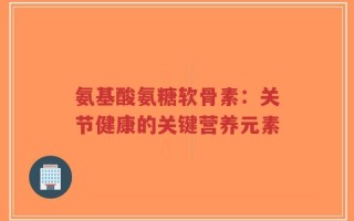 氨基酸氨糖软骨素：关节健康的关键营养元素