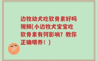 边牧幼犬吃软骨素好吗视频(小边牧犬宝宝吃软骨素有何影响？教你正确喂养！)