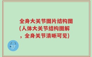 全身大关节图片结构图(人体大关节结构图解，全身关节清晰可见)