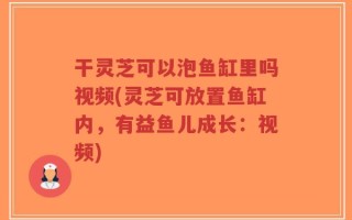 干灵芝可以泡鱼缸里吗视频(灵芝可放置鱼缸内，有益鱼儿成长：视频)