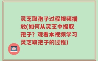 灵芝取孢子过程视频播放(如何从灵芝中提取孢子？观看本视频学习灵芝取孢子的过程)