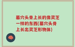 墓穴头骨上长的像灵芝一样的东西(墓穴头骨上长出灵芝形物体)