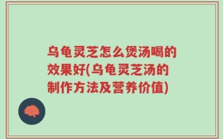 乌龟灵芝怎么煲汤喝的效果好(乌龟灵芝汤的制作方法及营养价值)