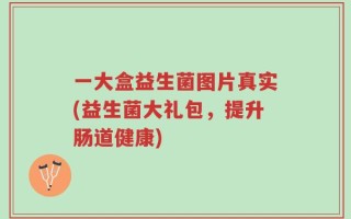 一大盒益生菌图片真实(益生菌大礼包，提升肠道健康)