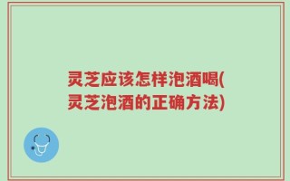灵芝应该怎样泡酒喝(灵芝泡酒的正确方法)