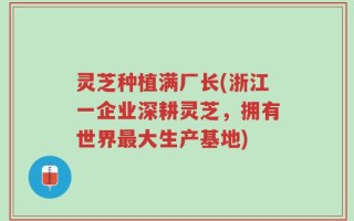 灵芝种植满厂长(浙江一企业深耕灵芝，拥有世界最大生产基地)