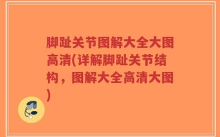 脚趾关节图解大全大图高清(详解脚趾关节结构，图解大全高清大图)