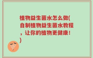 植物益生菌水怎么做(自制植物益生菌水教程，让你的植物更健康！)