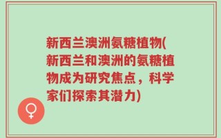 新西兰澳洲氨糖植物(新西兰和澳洲的氨糖植物成为研究焦点，科学家们探索其潜力)
