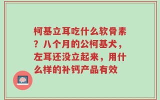 柯基立耳吃什么软骨素？八个月的公柯基犬，左耳还没立起来，用什么样的补钙产品有效