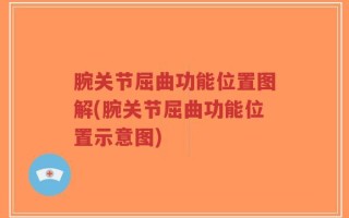 腕关节屈曲功能位置图解(腕关节屈曲功能位置示意图)