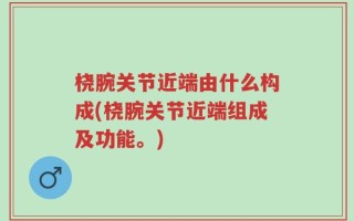 桡腕关节近端由什么构成(桡腕关节近端组成及功能。)