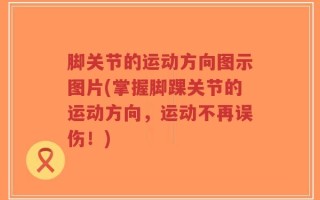 脚关节的运动方向图示图片(掌握脚踝关节的运动方向，运动不再误伤！)