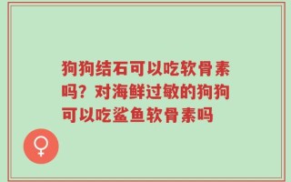 狗狗结石可以吃软骨素吗？对海鲜过敏的狗狗可以吃鲨鱼软骨素吗