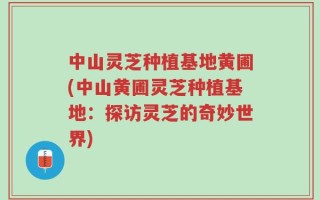 中山灵芝种植基地黄圃(中山黄圃灵芝种植基地：探访灵芝的奇妙世界)