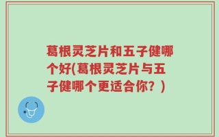 葛根灵芝片和五子健哪个好(葛根灵芝片与五子健哪个更适合你？)