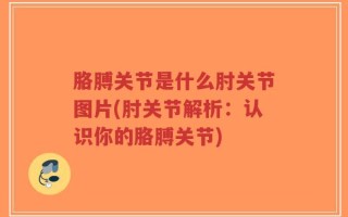胳膊关节是什么肘关节图片(肘关节解析：认识你的胳膊关节)