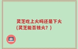 灵芝吃上火吗还是下火(灵芝能否祛火？)