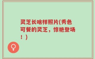 灵芝长啥样照片(秀色可餐的灵芝，惊艳登场！)